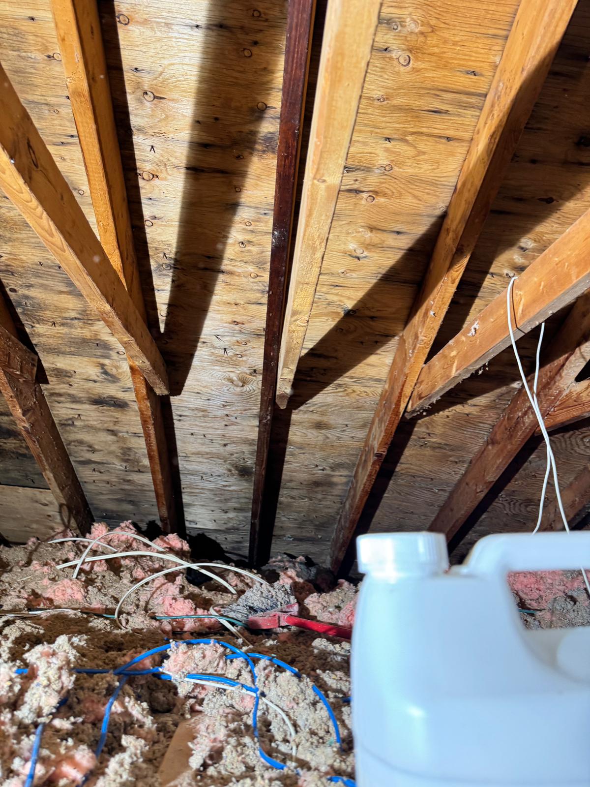 Restoration Professionals crew in full Tyvek protective suits performing Category 3 water damage cleanup in a Scarborough basement